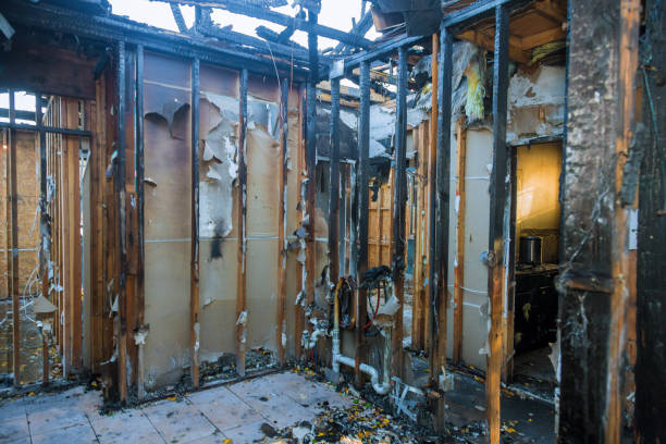 Professional Fire Damage Removal technician working in Richwood, TX